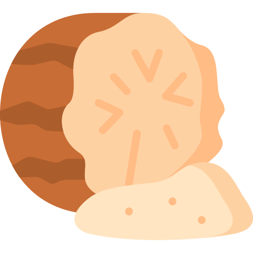 Мускатный орех Special Flat иконка