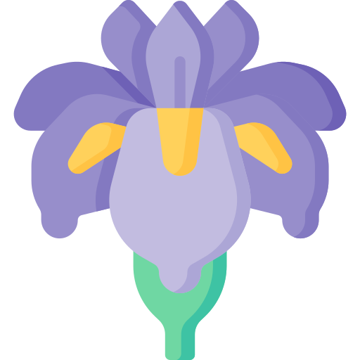 iris Special Flat icona
