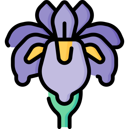 Iris Special Lineal color icon