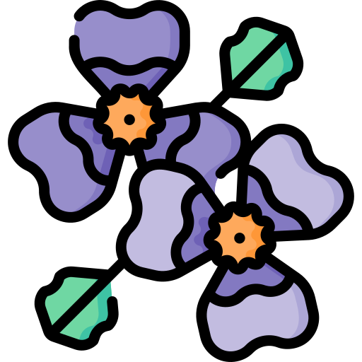 violett Special Lineal color icon