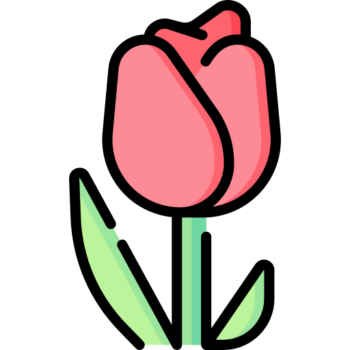 tulpe Special Lineal color icon