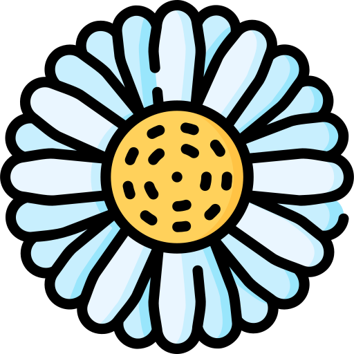gänseblümchen Special Lineal color icon