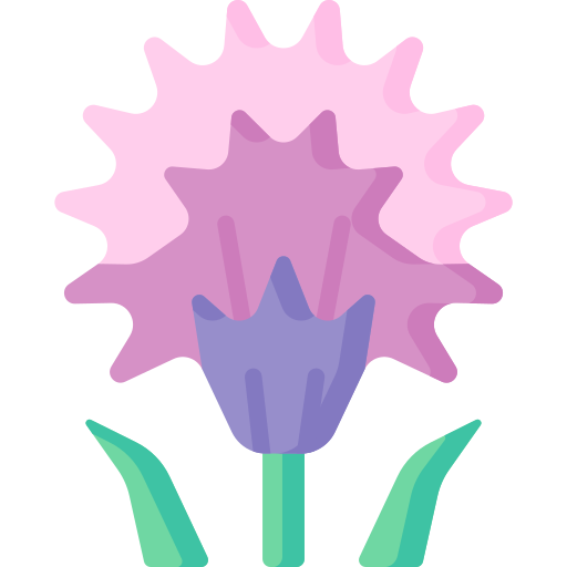 schnittlauchblüten Special Flat icon