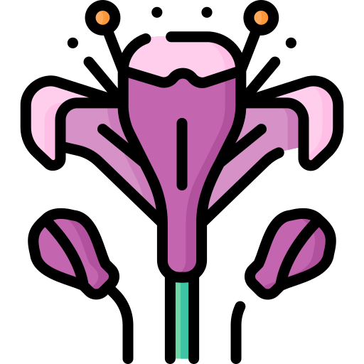 alstroemeria Special Lineal color icon