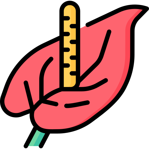 anthurium Special Lineal color icon