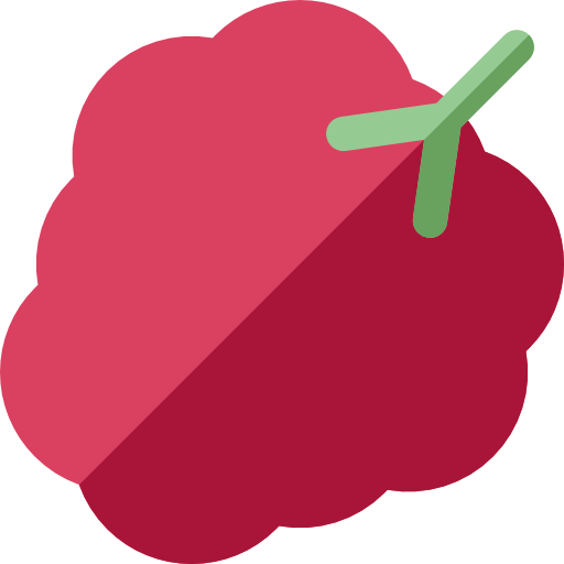 Raspberries Basic Rounded Flat icon