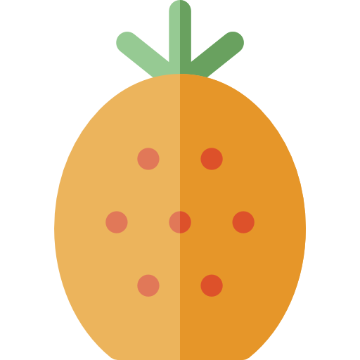 piña Basic Rounded Flat icono