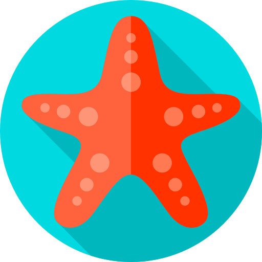 estrela do mar Flat Circular Flat Ícone