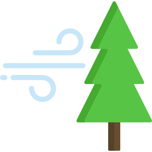 Pine Special Flat icon