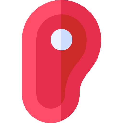 고기 Basic Rounded Flat icon