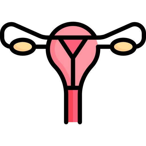 baarmoeder Special Lineal color icoon