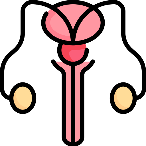 睾丸 Special Lineal color icon