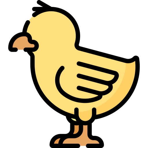 polluelo Special Lineal color icono