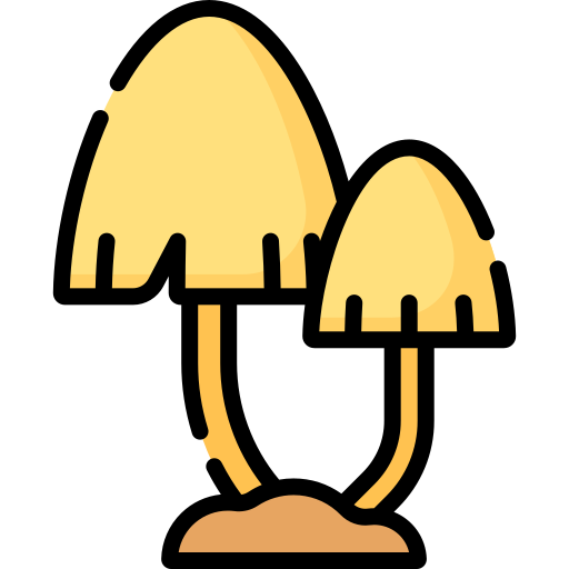 pilz Special Lineal color icon