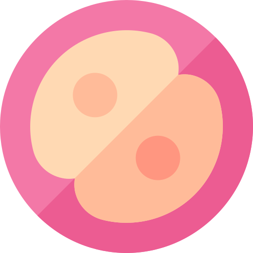 受精卵 Basic Rounded Flat icon