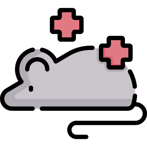 szczur Special Lineal color ikona