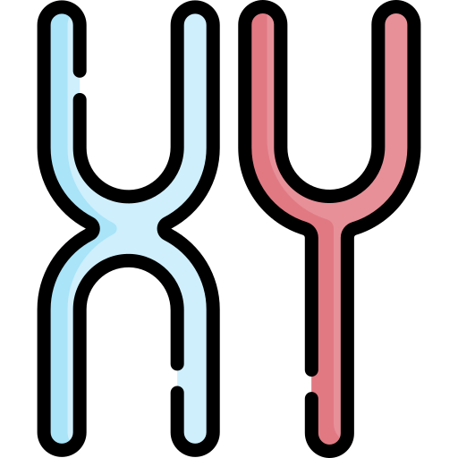 chromosome Special Lineal color Icône