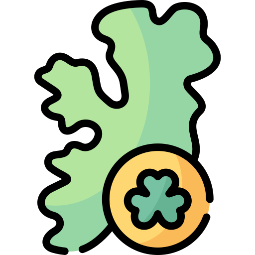 아일랜드 Special Lineal color icon