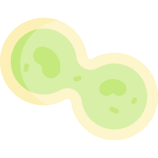 Mitosis Special Flat icon