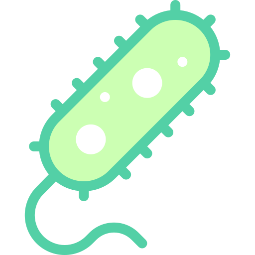 Bacteria Detailed color Lineal color icon