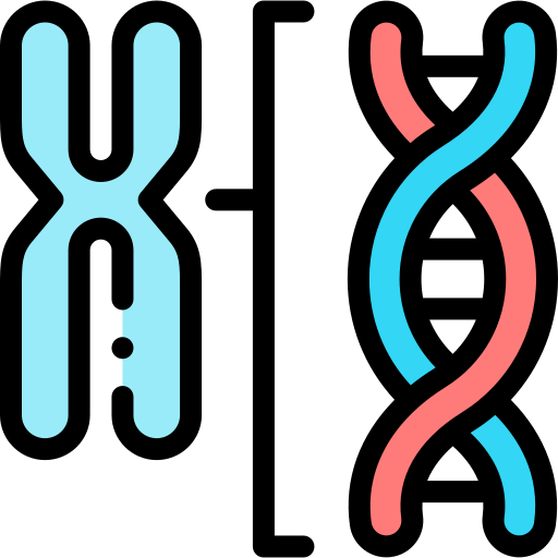 染色体 Detailed Rounded Lineal color icon