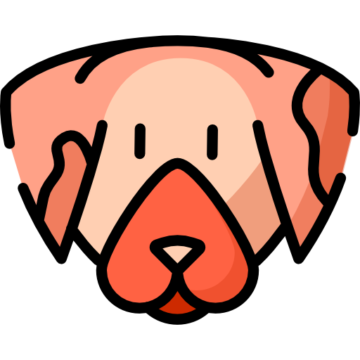 Dog Special Lineal color icon