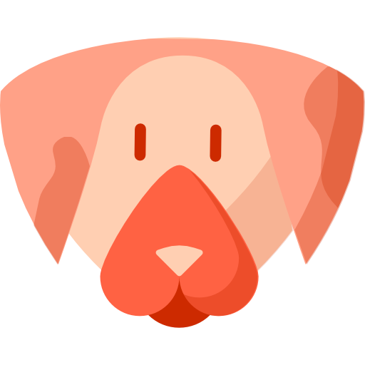 Dog Special Flat icon