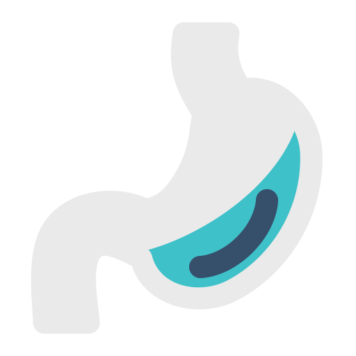 Stomach Generic Flat icon