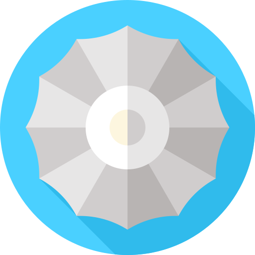 napfschnecke Flat Circular Flat icon