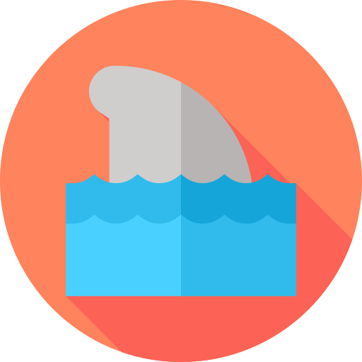 Shark Flat Circular Flat icon