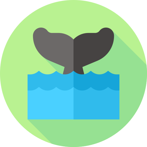 walvis Flat Circular Flat icoon