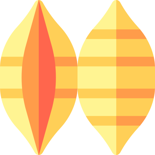 Conchiglie Basic Rounded Flat icon
