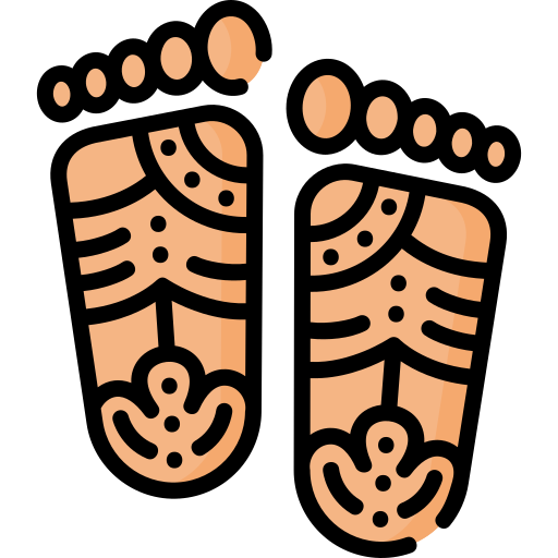 piedi Special Lineal color icona