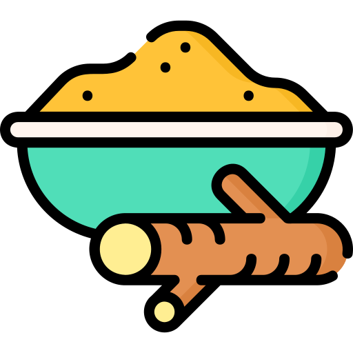 Turmeric Special Lineal color icon