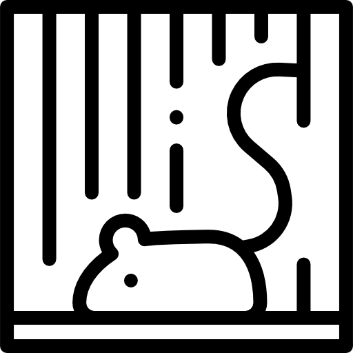 Mouse Detailed Rounded Lineal icon