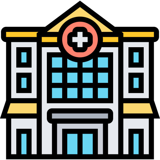 krankenhaus Meticulous Lineal Color icon
