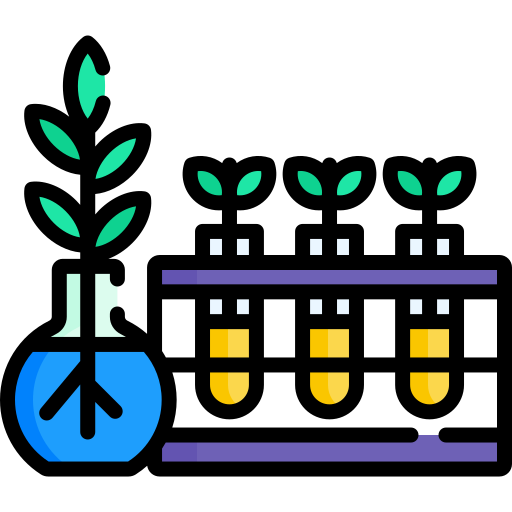 Botany Special Lineal color icon