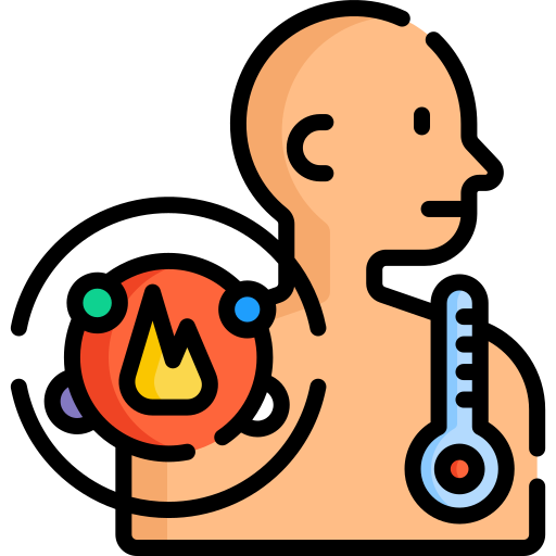 metabolismo Special Lineal color icono