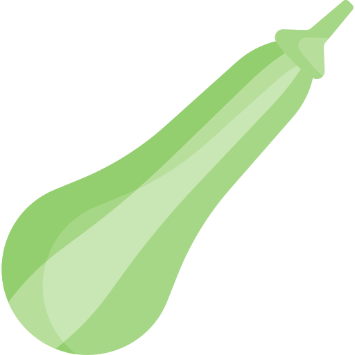 Zucchini Special Flat icon