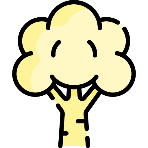 coliflor Special Lineal color icono