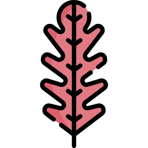 lechuga Special Lineal color icono