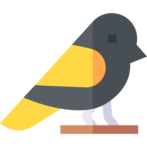 Robin Basic Straight Flat icon