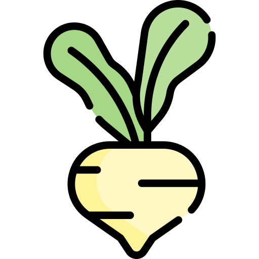 Turnip Special Lineal color icon