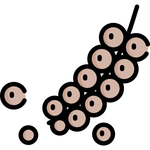 poivre Special Lineal color Icône
