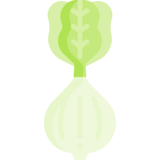 Lettuce Special Flat icon