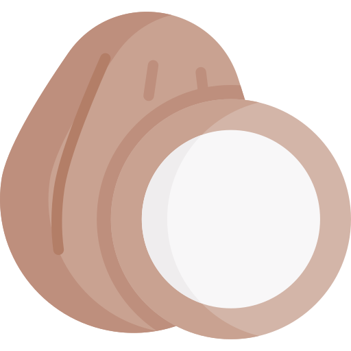 ココナッツ Special Flat icon