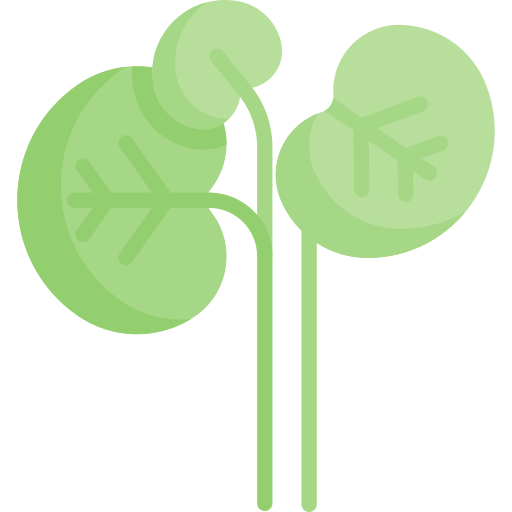 Watercress Special Flat icon