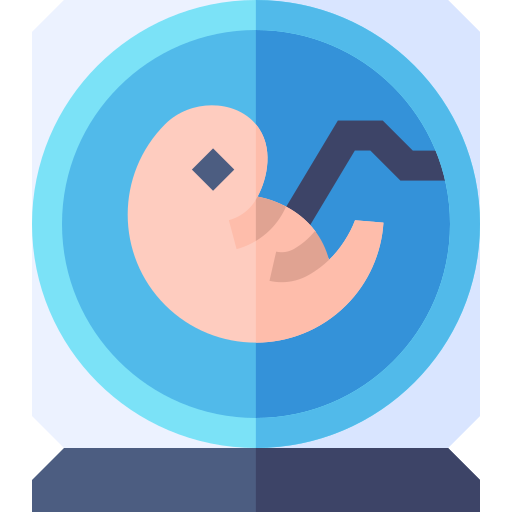 embrión Basic Straight Flat icono