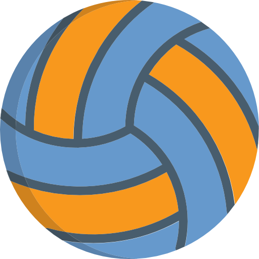 volleyball Special Flat icon