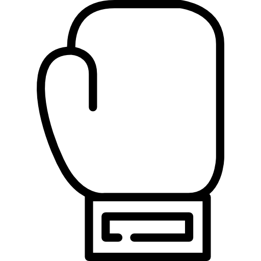 Боксерская перчатка Special Lineal иконка